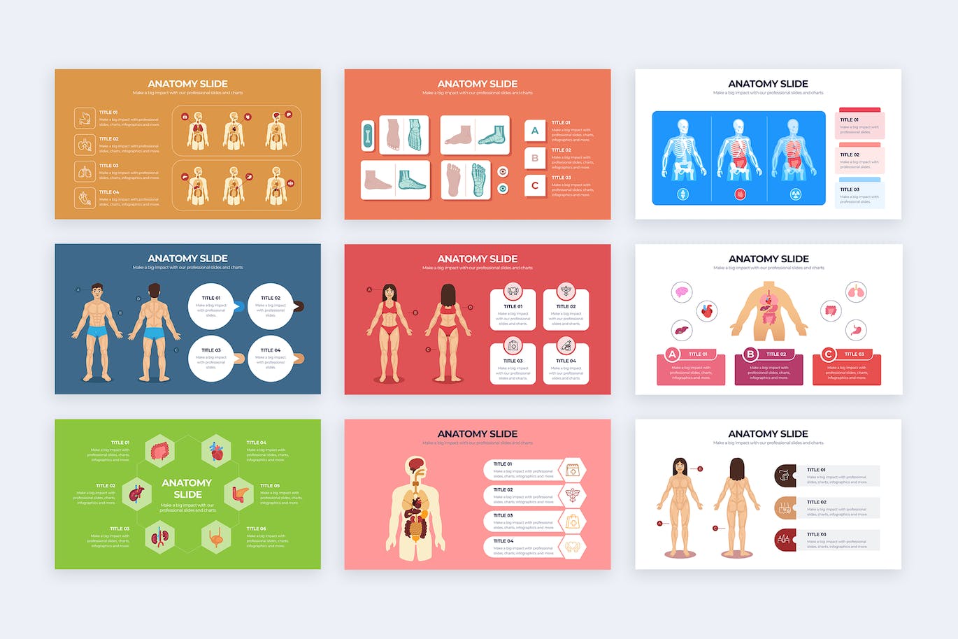 人体解剖学信息图表矢量模板 Medical Anatomy Slide Illustrator Infographics 幻灯图表 第3张