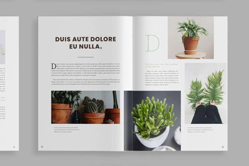 植物类杂志设计模板，INDD源文件 样机素材 第2张