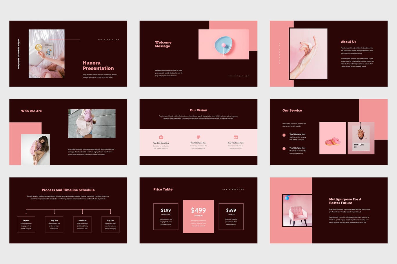 多用途粉色PPT设计模板 Hanora – Multipurposes Pink Powerpoint Template 幻灯图表 第2张