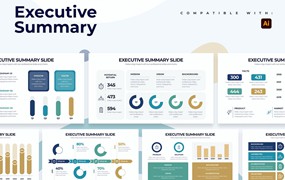 项目简介摘要信息图表设计AI矢量模板 Business Executive Summary Illustrator Infographic