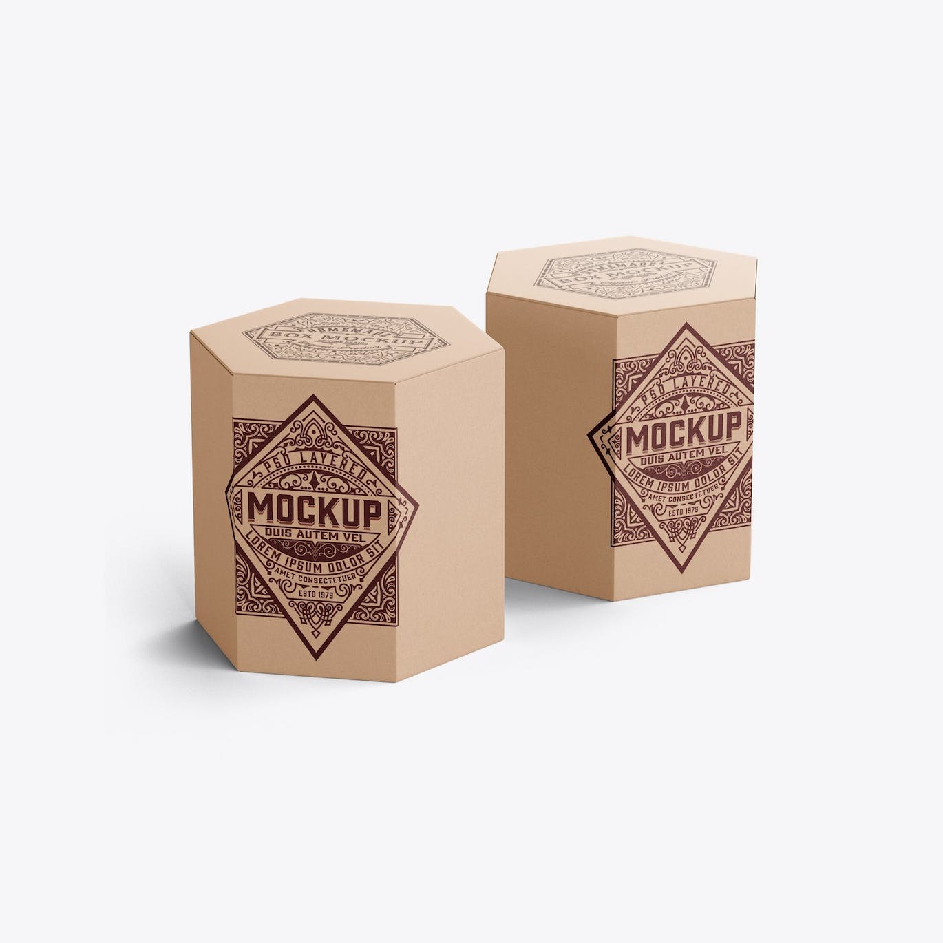 六边形长方体纸盒包装设计样机 Hexagonal Box Mockup 样机素材 第11张