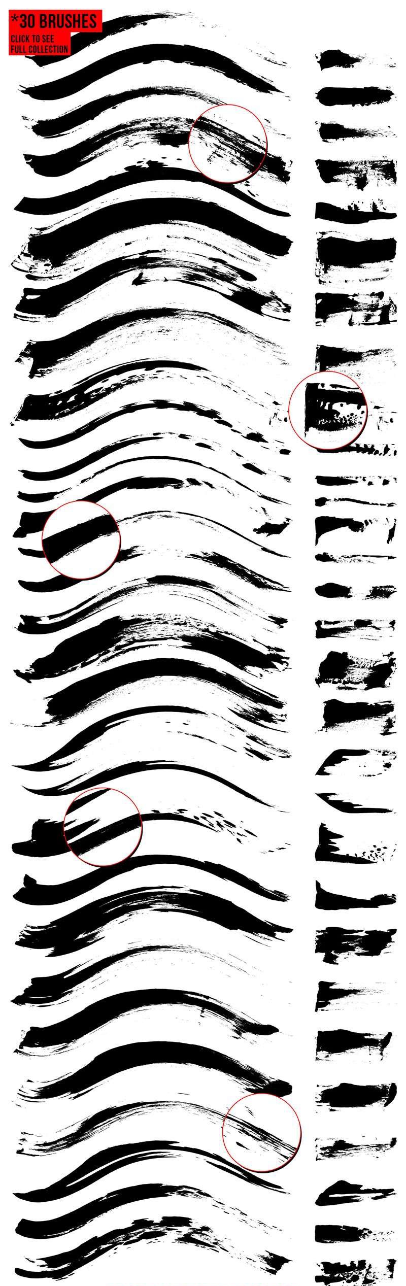 30个独特的书法纹理AI笔刷 笔刷资源 第2张