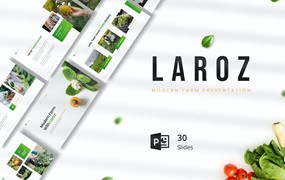 现代农场农产品PPT幻灯片模板 Laroz – Modern Farm Presentation PowerPoint
