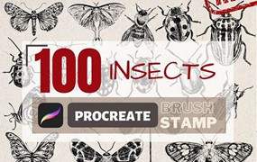 100个昆虫标本集Procreate笔刷