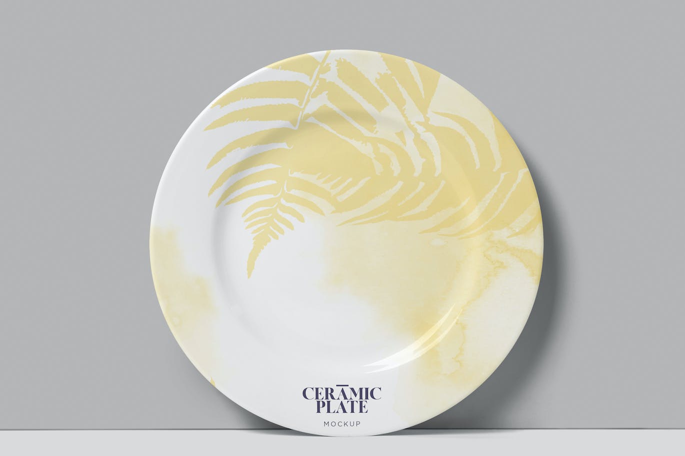 陶瓷盘子陶器品牌设计样机 Ceramic Plate Mockups 样机素材 第1张