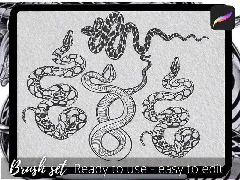 50个蛇形纹身图案Procreate笔刷 笔刷资源 第2张
