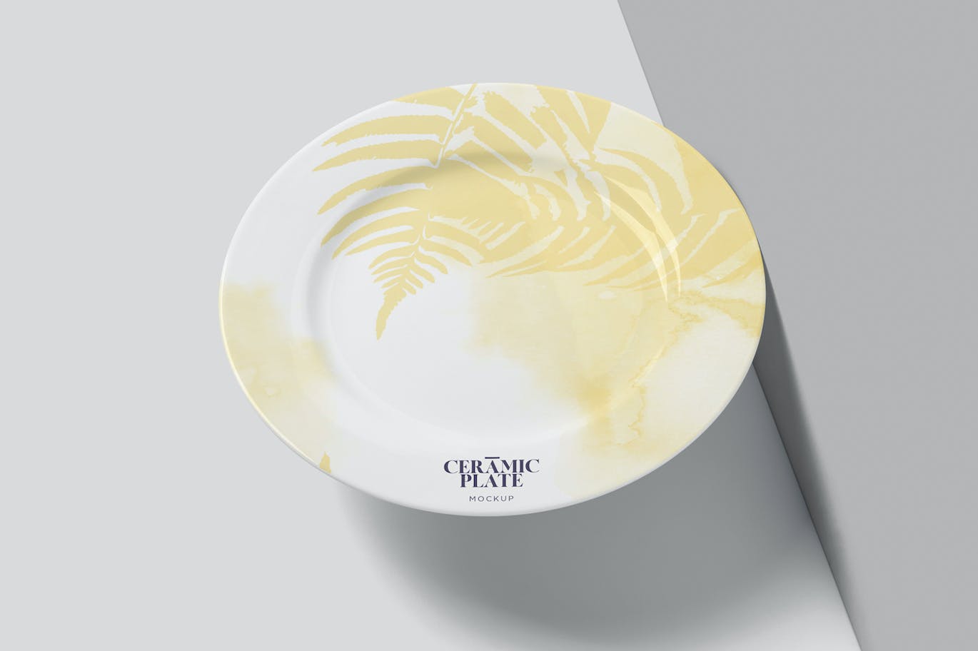 陶瓷盘子陶器品牌设计样机 Ceramic Plate Mockups 样机素材 第6张