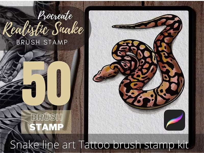 50个蛇形纹身图案Procreate笔刷 笔刷资源 第1张