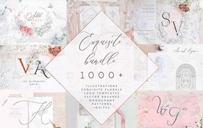 1000+婚礼邀请函设计元素套装