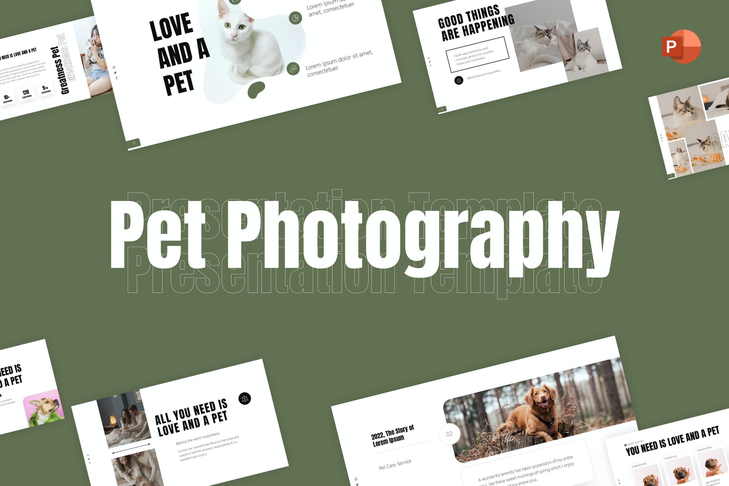 宠物摄影极简主义PPT幻灯片模板下载 Pet Photography Minimalist PowerPoint Template 幻灯图表 第1张