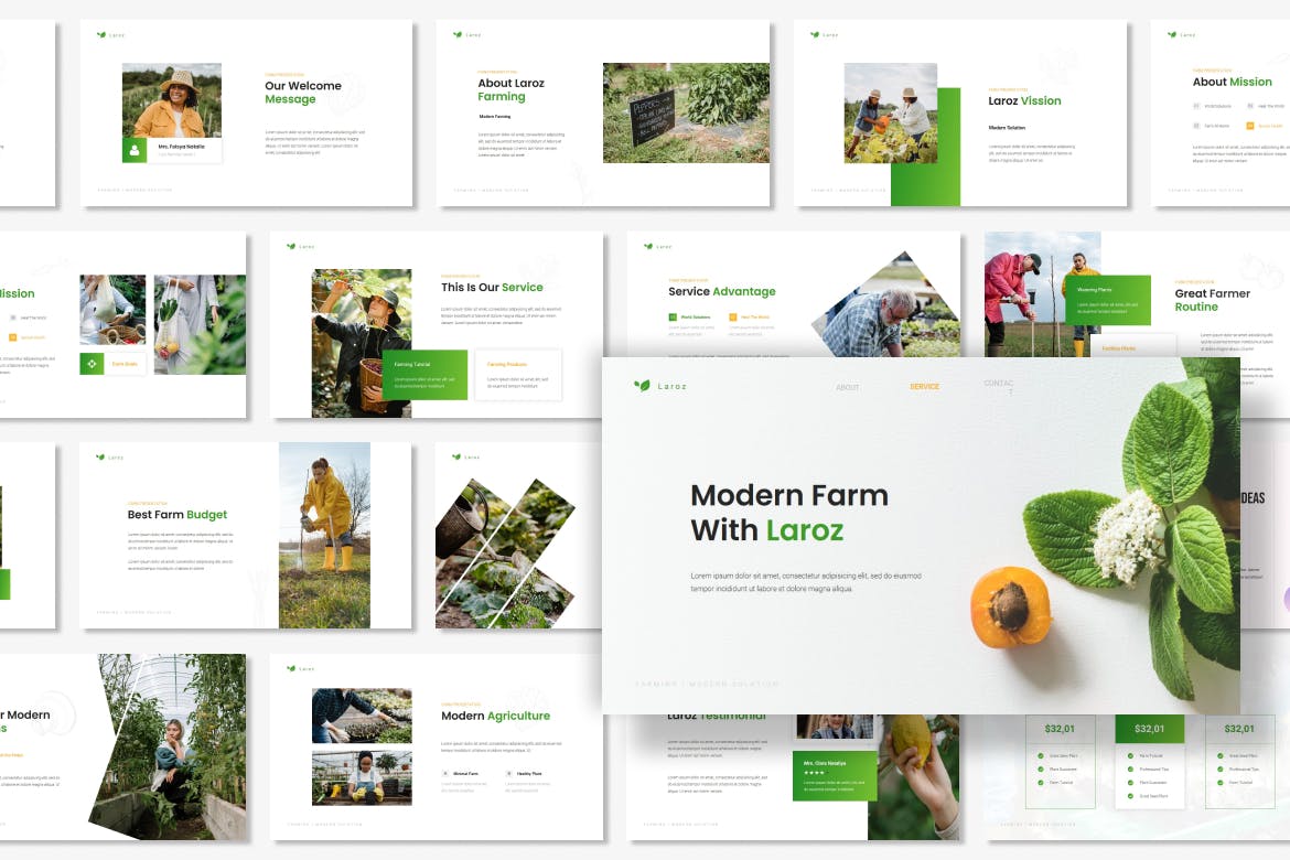 现代农场农产品PPT幻灯片模板 Laroz – Modern Farm Presentation PowerPoint 幻灯图表 第2张