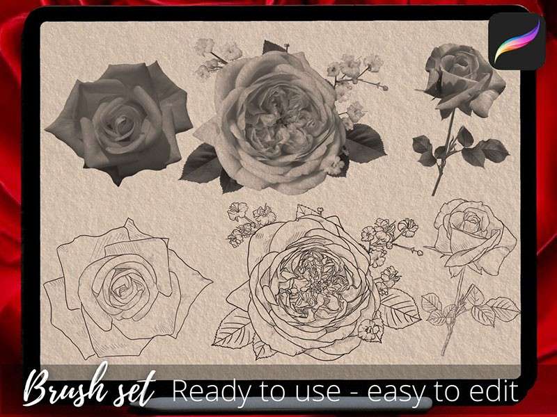 100个玫瑰花纹身图案Procreate笔刷 笔刷资源 第3张