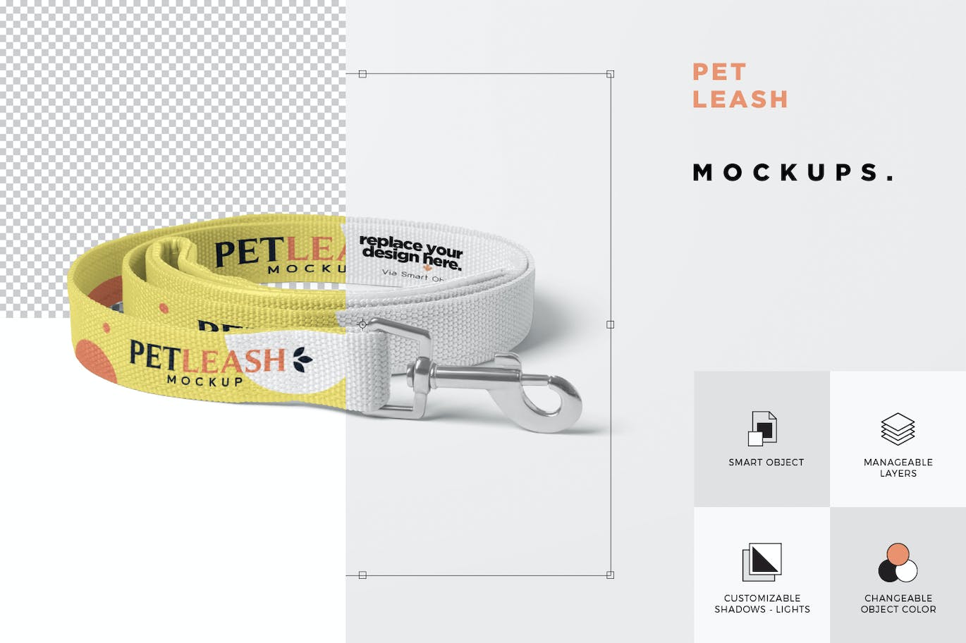 宠物皮带牵引绳设计样机 Pet Leash Mockups 样机素材 第4张