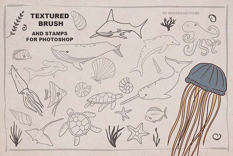 海洋动物卡通线描画Procreate和PS笔刷 笔刷资源 第6张