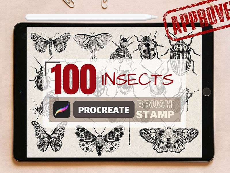 100个昆虫标本集Procreate笔刷 笔刷资源 第1张