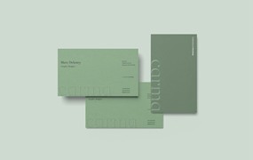 印刷名片品牌VI样机 Business Card Mockup