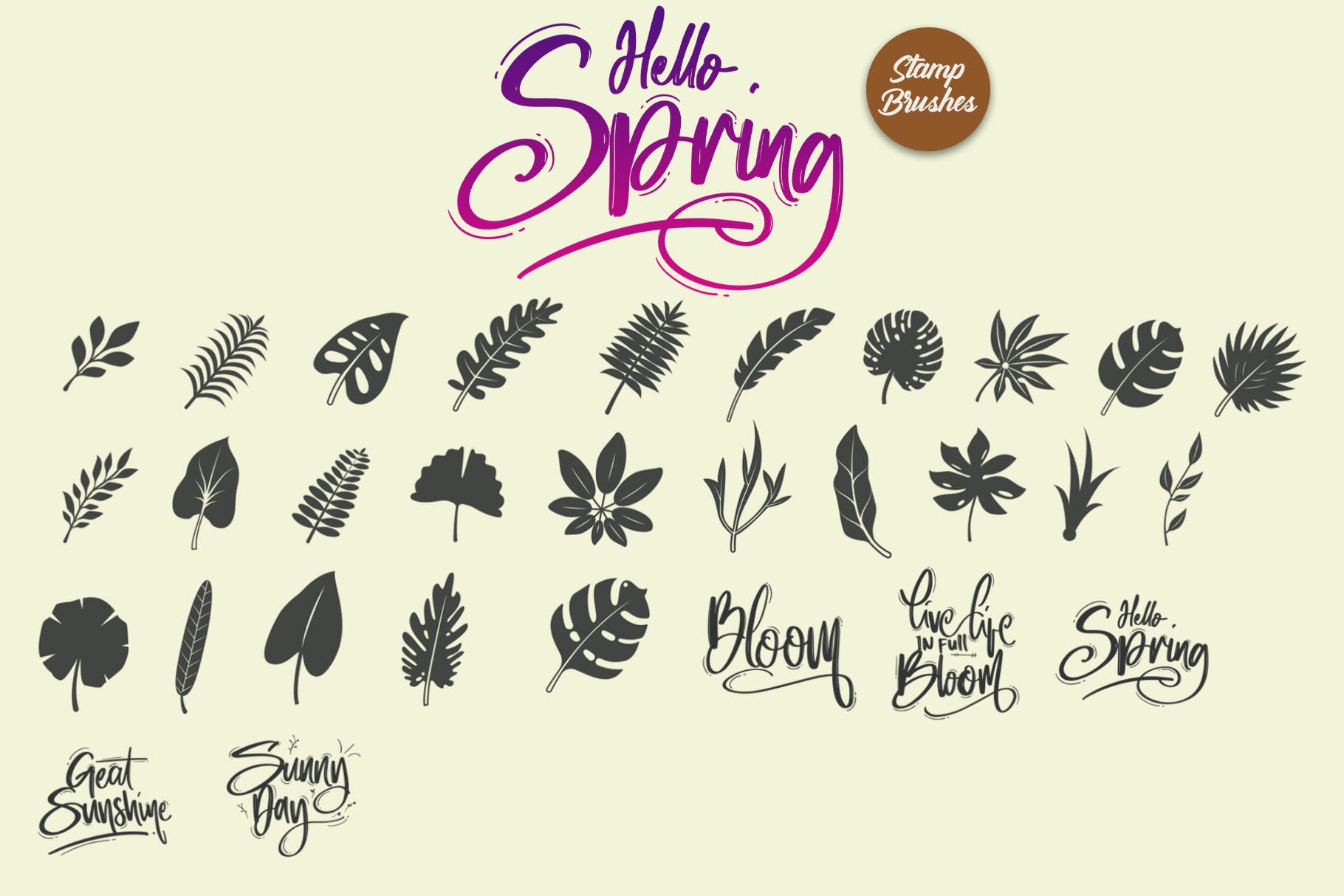 春天叶子元素印章Procreate笔刷 Hello Spring | Stamp Brushes 笔刷资源 第6张