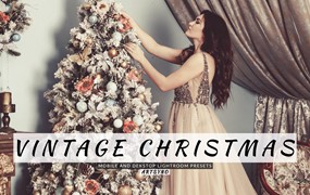圣诞照片处理复古滤镜LR预设 Vintage Christmas Lightroom Presets DekstopMobile