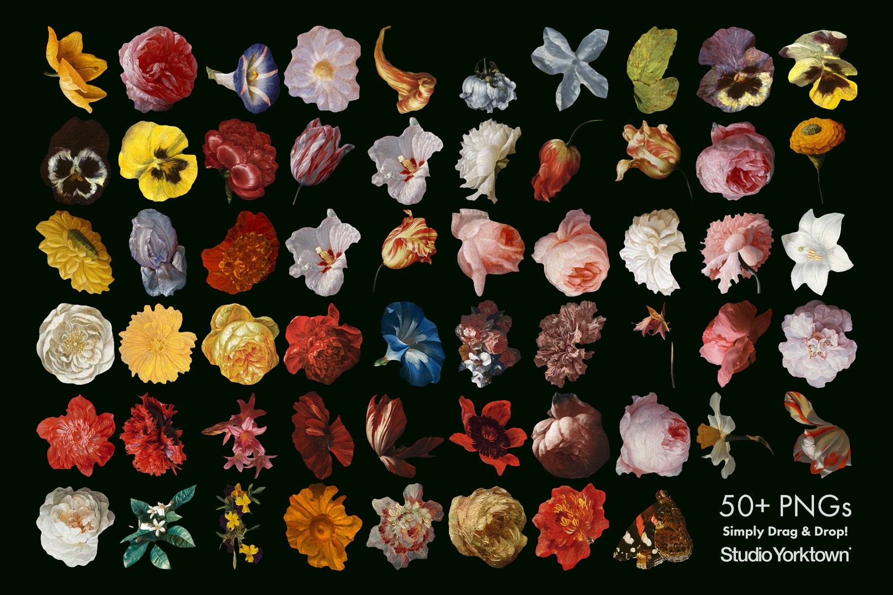 100多种复古花卉古典艺术品图像集合 Kurohana – Moody Florals Collection 图片素材 第3张