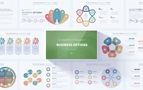 业务选项PPT幻灯片设计模板 Business Options – PowerPoint Infographics Slides