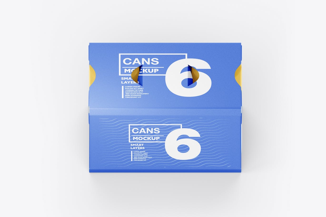 6罐装易拉罐纸箱包装设计样机 6 Cans Pack Mockup 样机素材 第1张
