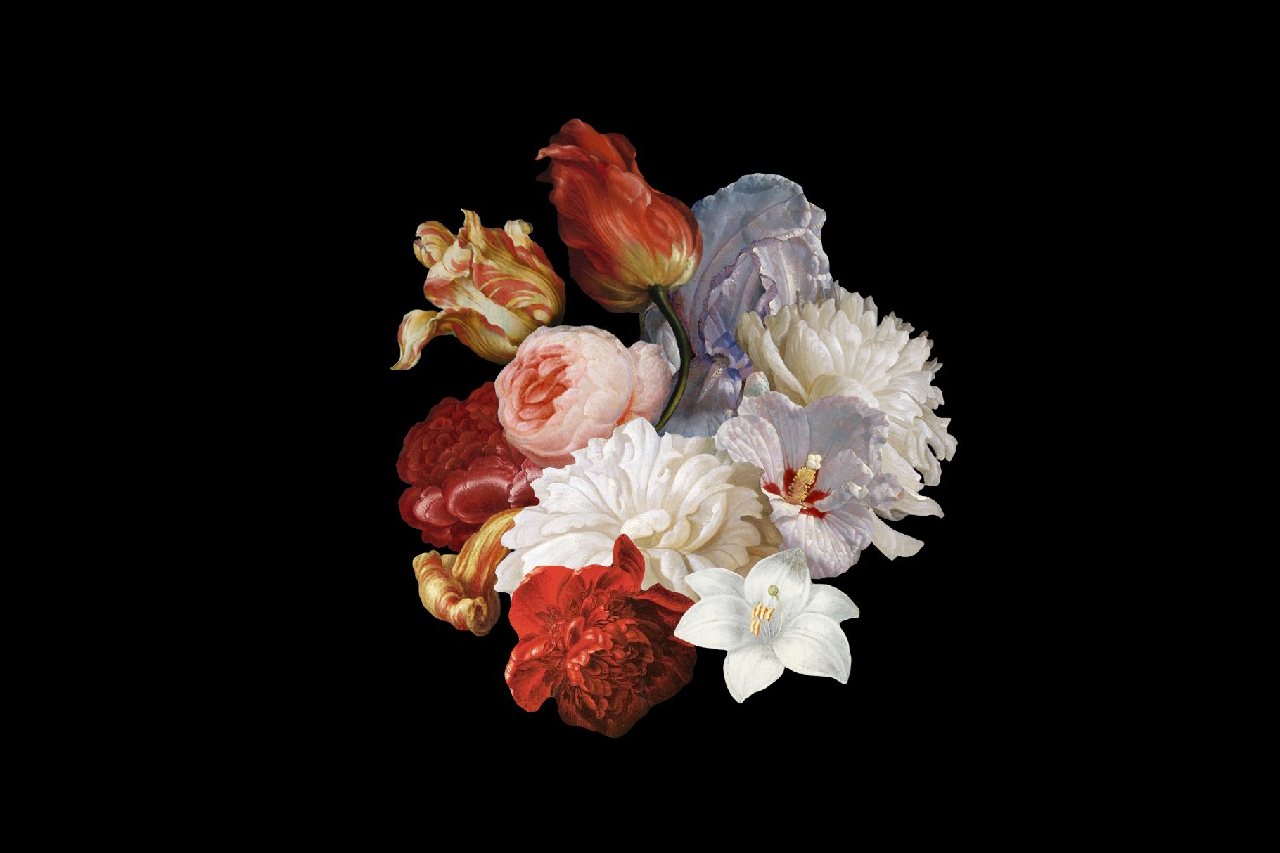 100多种复古花卉古典艺术品图像集合 Kurohana – Moody Florals Collection 图片素材 第7张