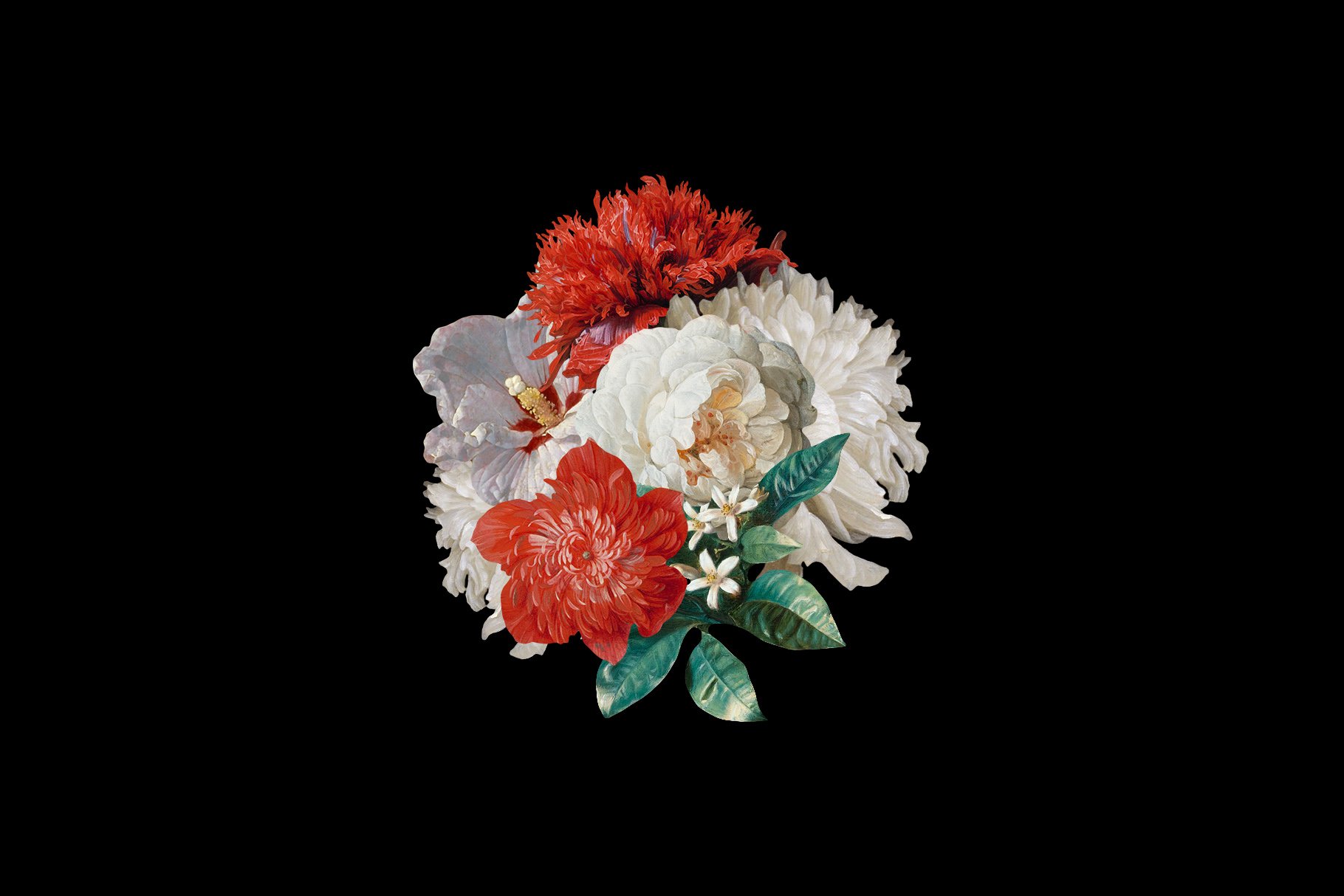 100多种复古花卉古典艺术品图像集合 Kurohana – Moody Florals Collection 图片素材 第8张