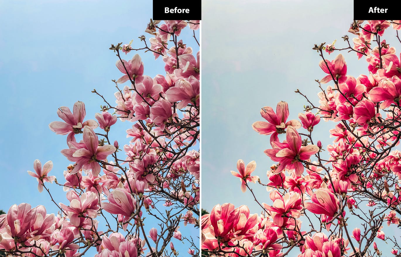 春季风景照后期修图LR+PS预设 5 Spring | Lightroom and Photoshop 插件预设 第2张