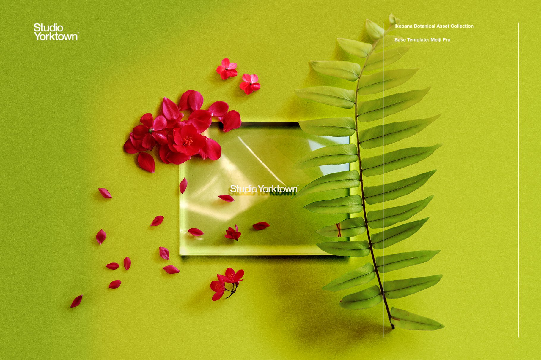 超高分辨率玫瑰芙蓉花卉植物花瓣PNG免抠图大合集 Ikebana Botanical Asset Collection 图片素材 第5张
