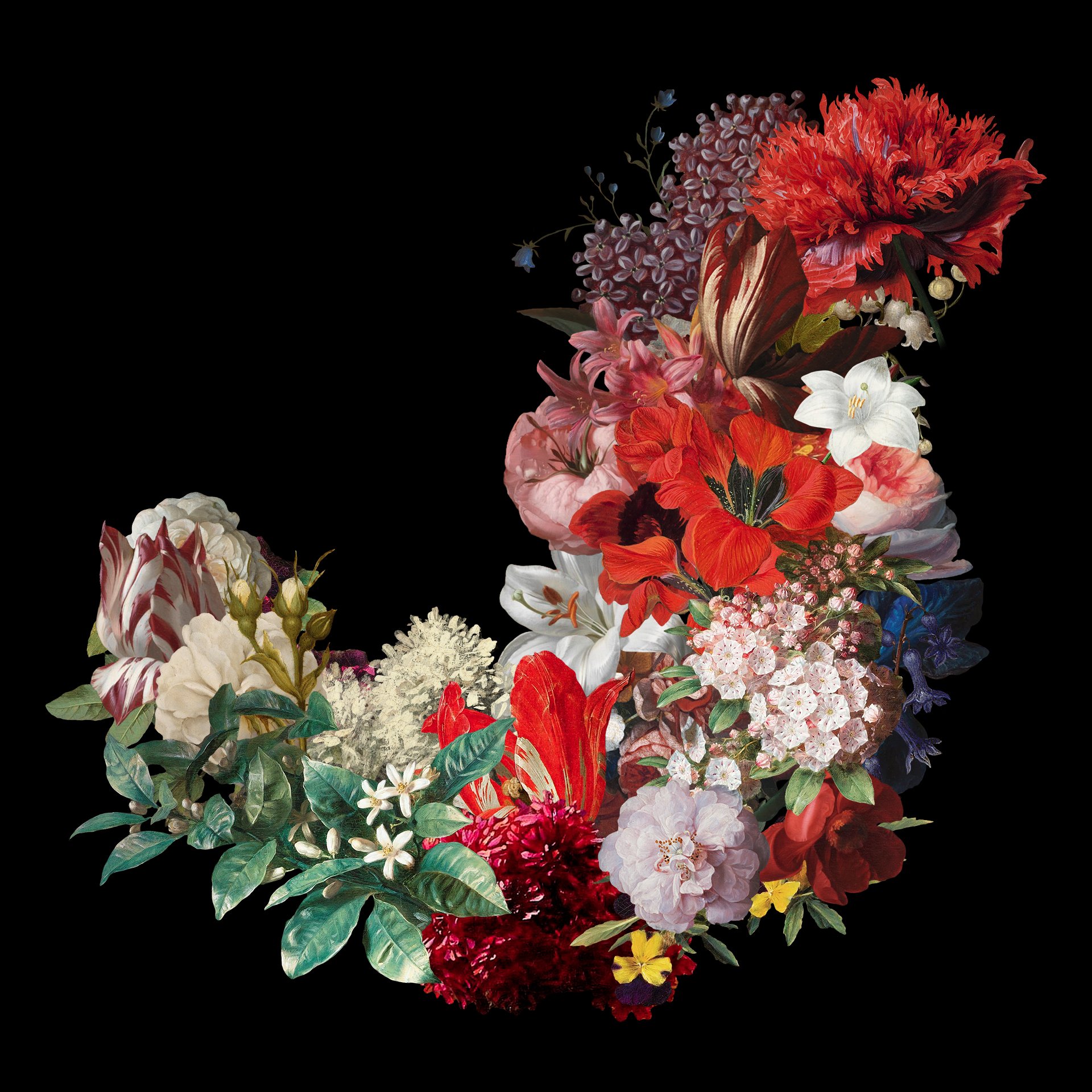 100多种复古花卉古典艺术品图像集合 Kurohana – Moody Florals Collection 图片素材 第6张