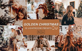 10个圣诞照片金色滤镜LR预设模板 10 Golden Christmas Desktop & Mobile Presets