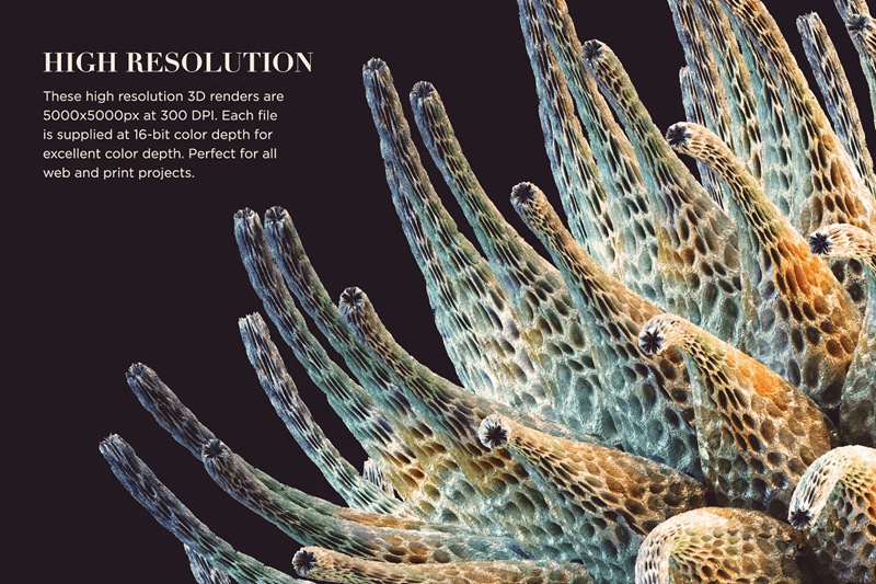 三维渲染现代科学化学蜂窝珊瑚有机生物抽象3D形状PNG素材 Organic Abstraction Vol.2 图标素材 第3张