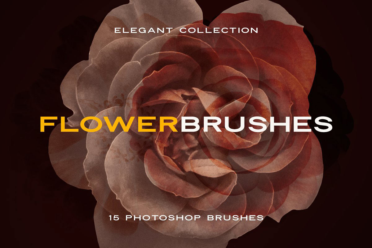 复古风创意玫瑰紫丁香花卉笔刷PS画笔笔刷素材 Elegant Flower Brushes for Photoshop 笔刷资源 第9张