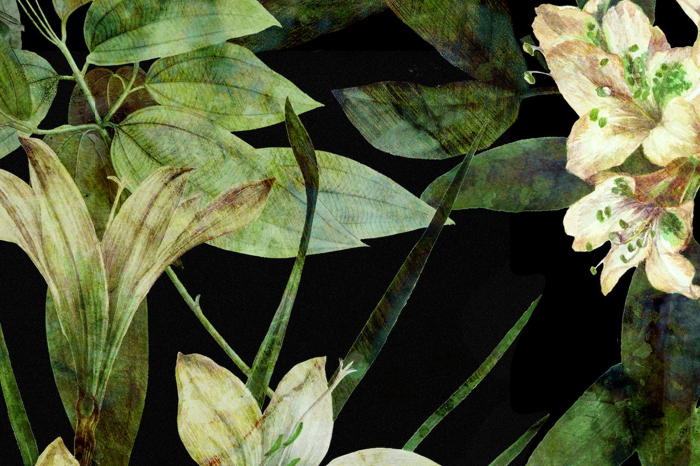 绿色植物无缝图案背景 Green Botanical 图片素材 第2张