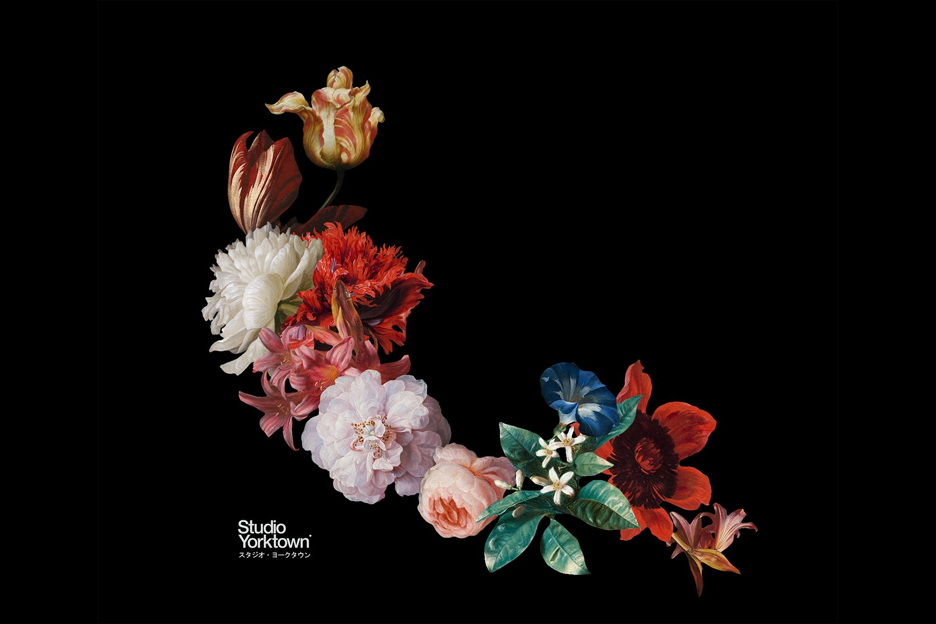 100多种复古花卉古典艺术品图像集合 Kurohana – Moody Florals Collection 图片素材 第10张