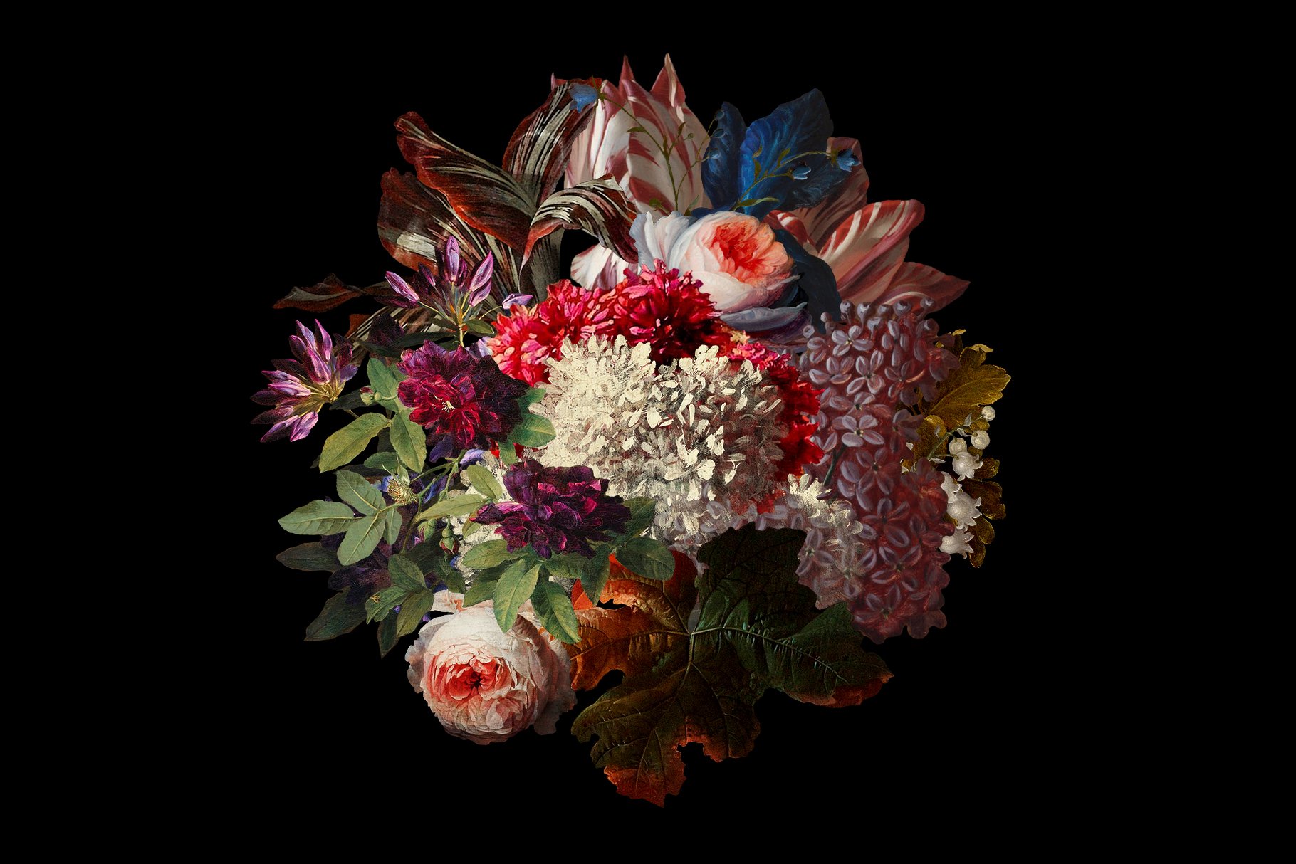 100多种复古花卉古典艺术品图像集合 Kurohana – Moody Florals Collection 图片素材 第5张