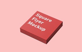 方形尺寸名片设计演示样机 Square Business Card Mockups