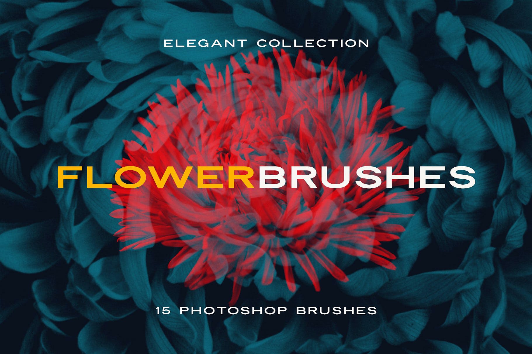 复古风创意玫瑰紫丁香花卉笔刷PS画笔笔刷素材 Elegant Flower Brushes for Photoshop 笔刷资源 第1张