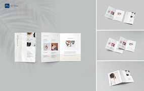 A4双折小册子/宣传册样机 A4 Bi-Fold Brochure Mockup