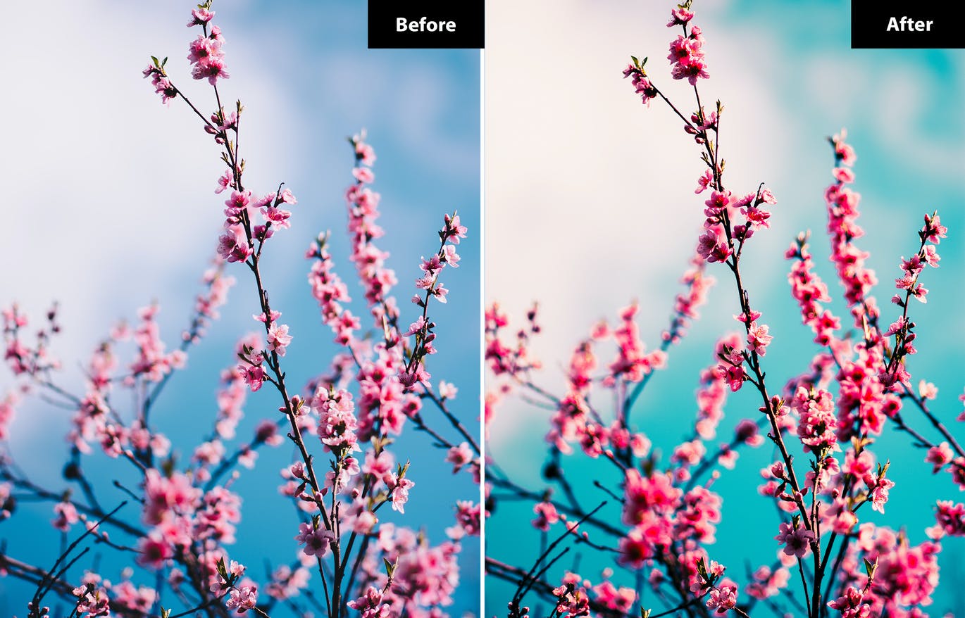 春季风景照后期修图LR+PS预设 5 Spring | Lightroom and Photoshop 插件预设 第8张