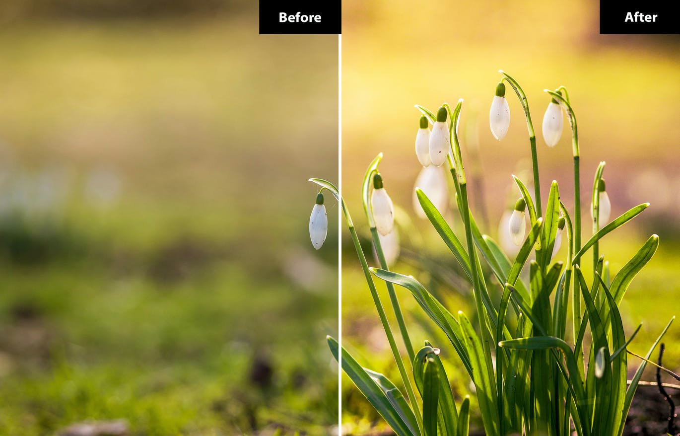 春季风景照后期修图LR+PS预设 5 Spring | Lightroom and Photoshop 插件预设 第4张