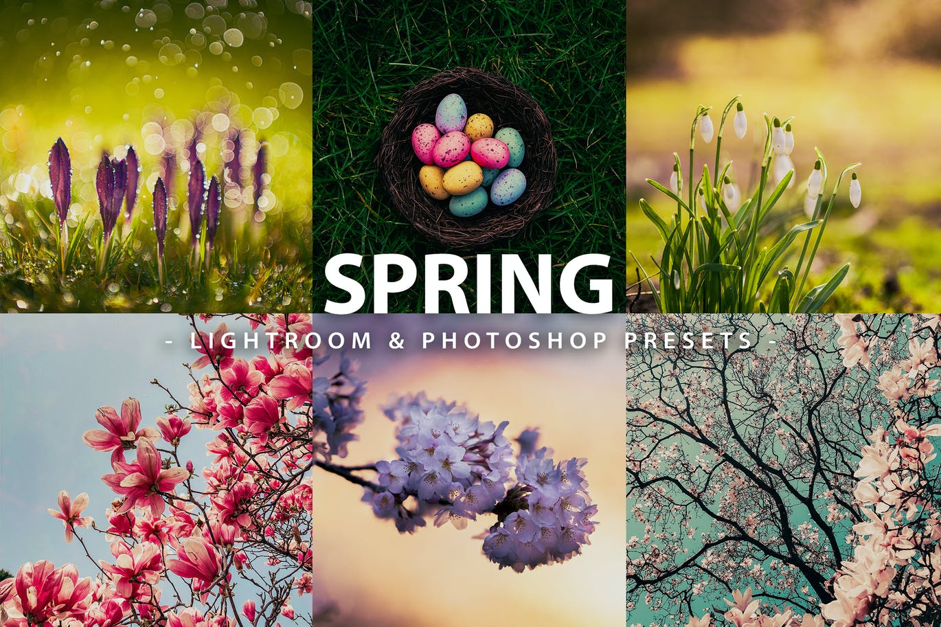 春季风景照后期修图LR+PS预设 5 Spring | Lightroom and Photoshop 插件预设 第1张