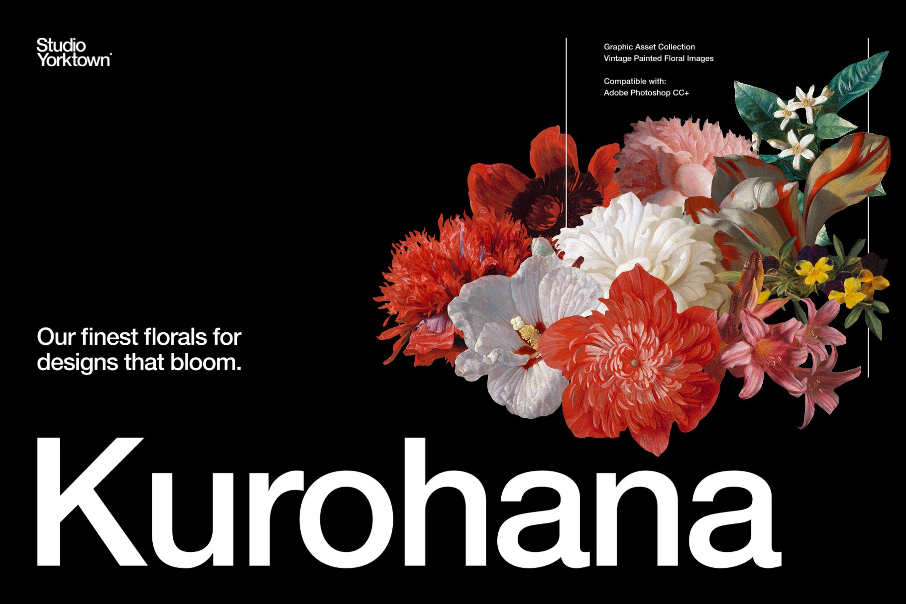 100多种复古花卉古典艺术品图像集合 Kurohana – Moody Florals Collection 图片素材 第1张