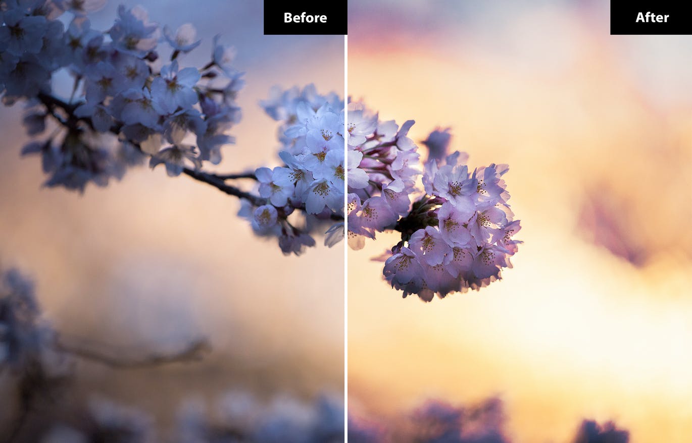 春季风景照后期修图LR+PS预设 5 Spring | Lightroom and Photoshop 插件预设 第5张