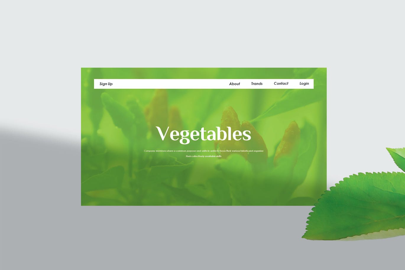 蔬菜农产品Google幻灯片设计模板 Vegetables – Google Slide Template 幻灯图表 第6张