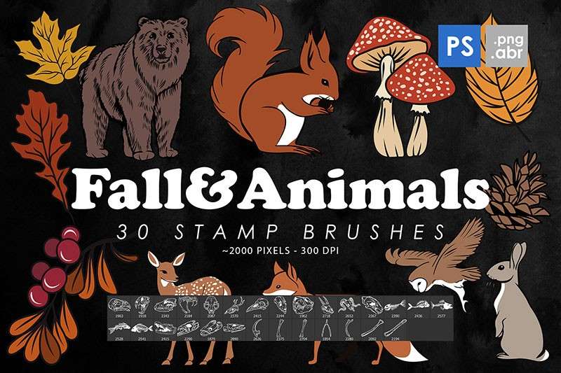 30个秋天和动物图案PS笔刷 笔刷资源 第1张