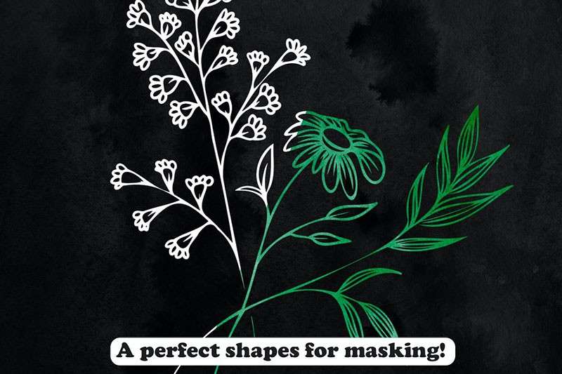 22个植物花卉线描画PS笔刷 笔刷资源 第4张