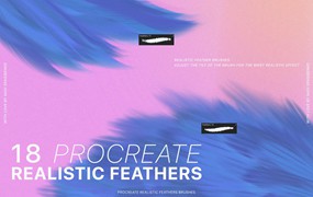逼真的Procreate羽毛笔刷 Procreate Realistic Feather Brushes