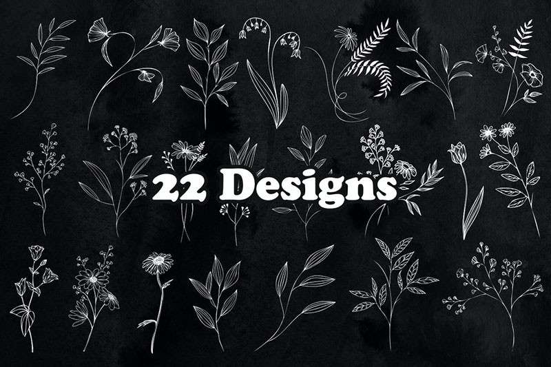 22个植物花卉线描画PS笔刷 笔刷资源 第2张