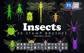 30个高清昆虫剪影图案PS笔刷